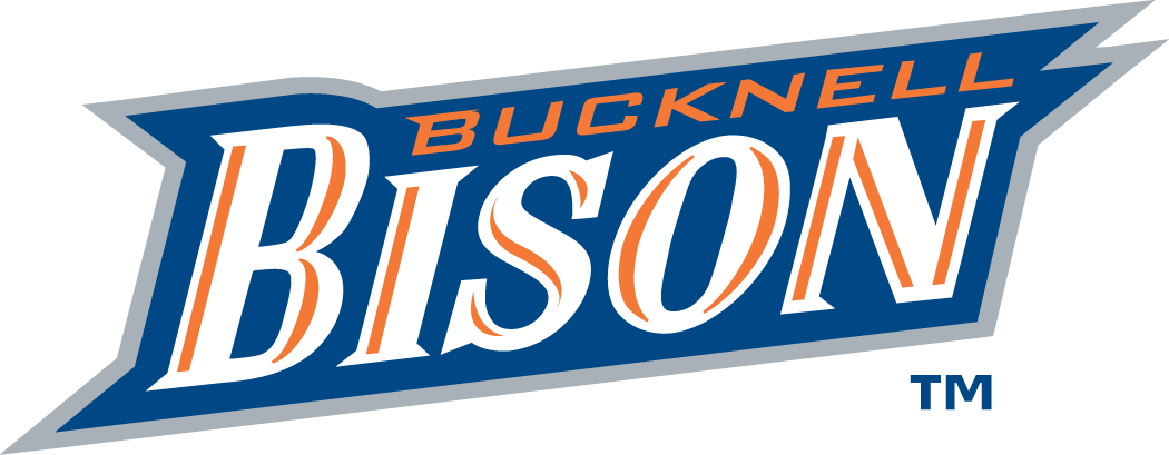 Bucknell Bison 2002-Pres Wordmark Logo t shirts DIY iron ons